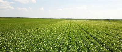 欧博abg - 官方网站登录入口