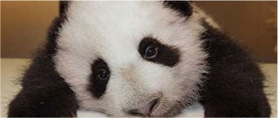 欧博abg - 官方网站登录入口