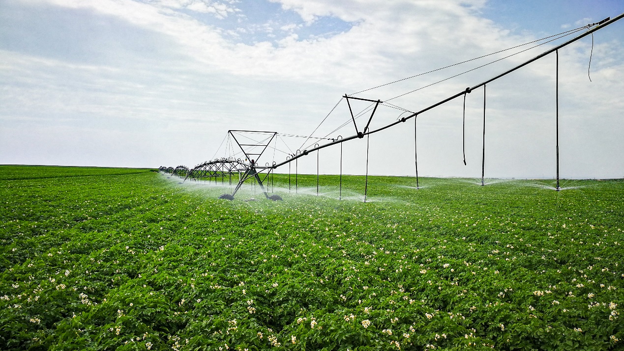 欧博abg - 官方网站登录入口